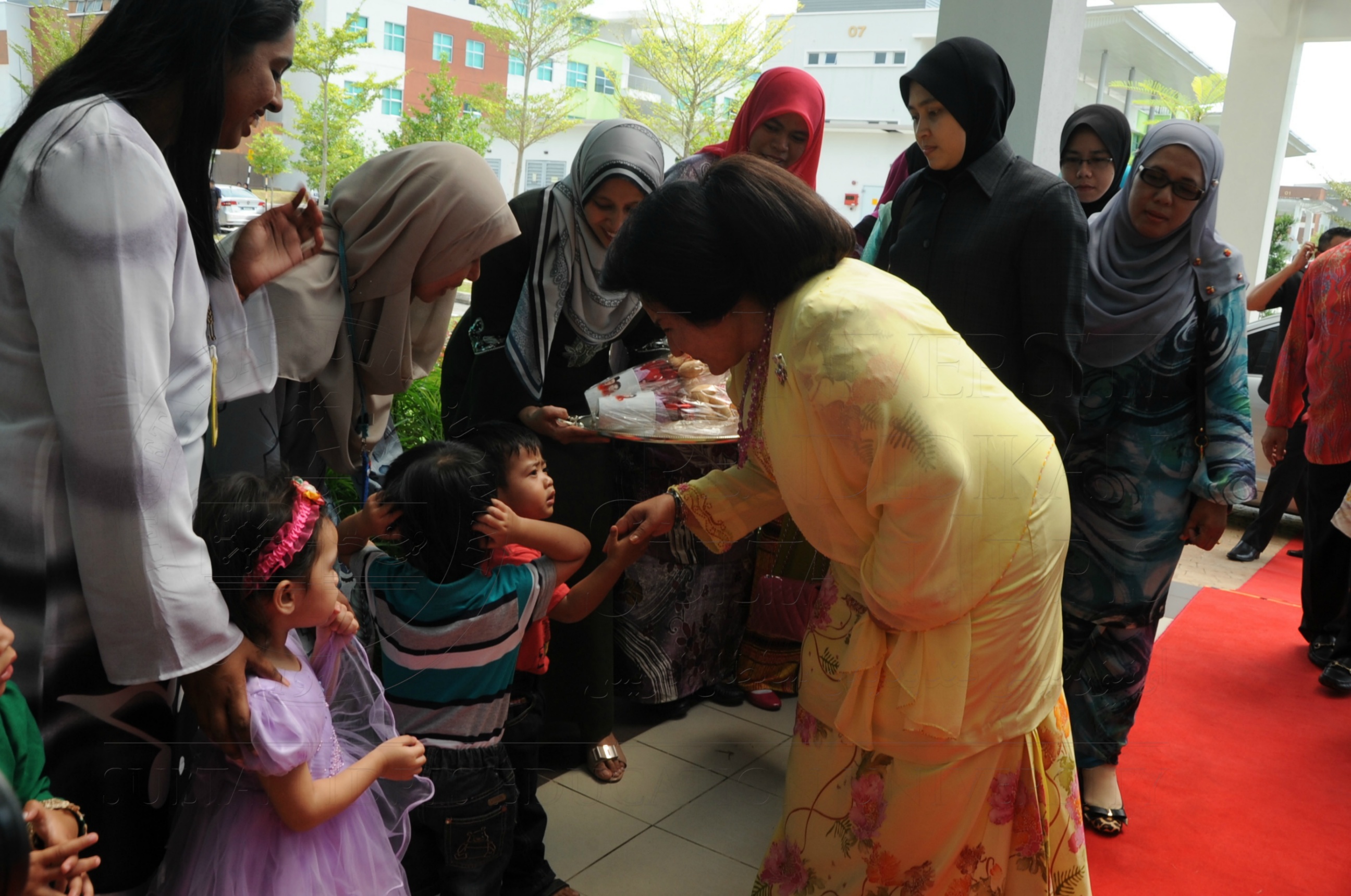 PRO16 32 NCDC HAS 3368